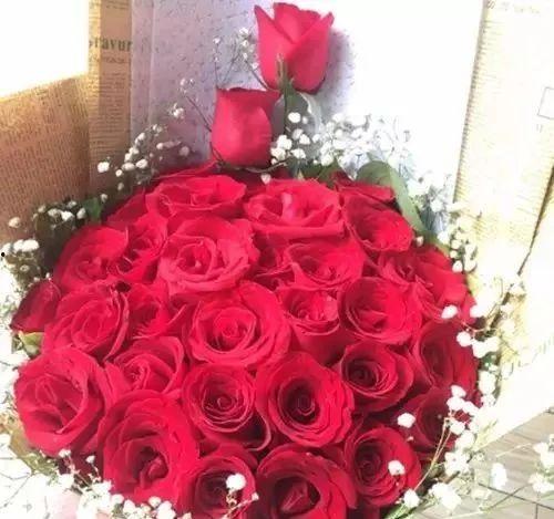 520玫瑰最新爆料,幕后故事与情感真相大曝光  第1张